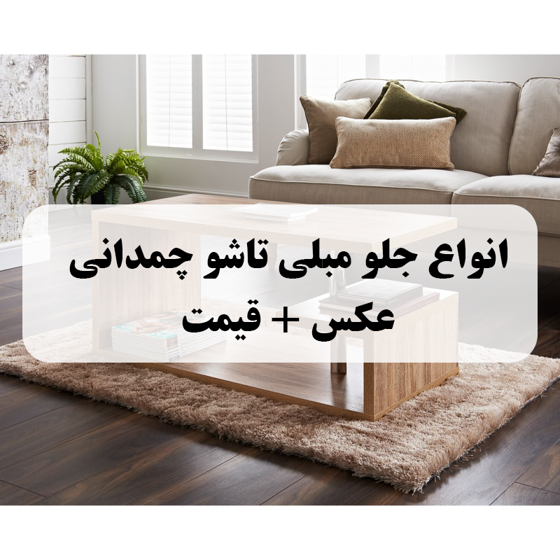 انواع جلو مبلی تاشو چمدانی عکس + قیمت